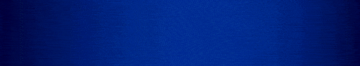 ＧＩ津ダイアモンドカップ